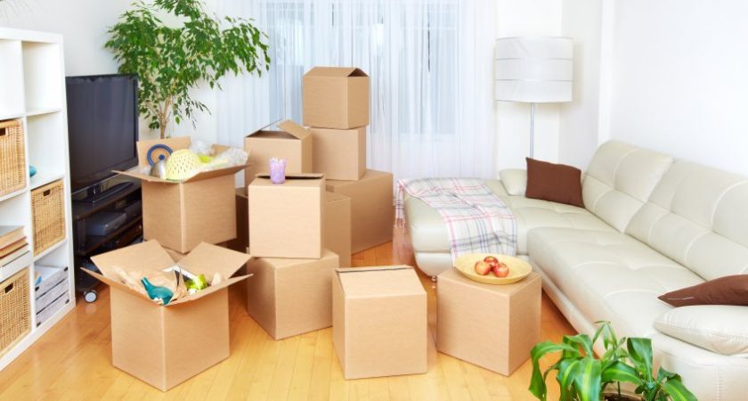 Movers and Packers in Dubai