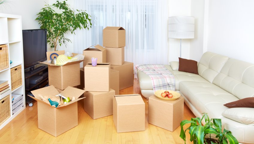 Movers and Packers in Dubai